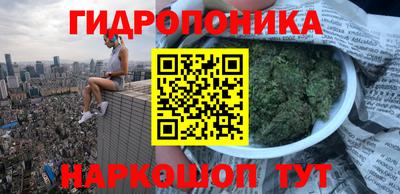 jwh Дубна