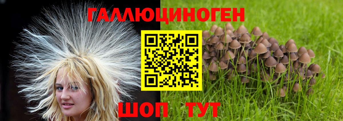 Моздок  Галлюциногенные грибы Cubensis  Вход с VPN 