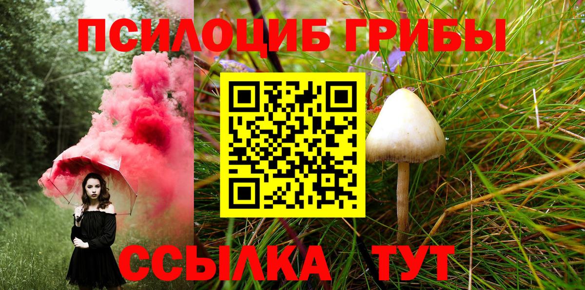Псилоцибиновые грибы прущие грибы Моздок